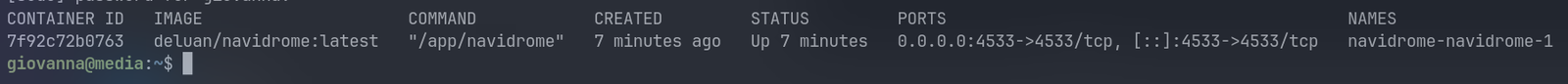 docker ps showing the container up on port 4533